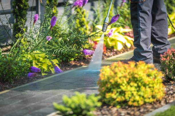 Professional Pressure Washing Services in Fairport, NY