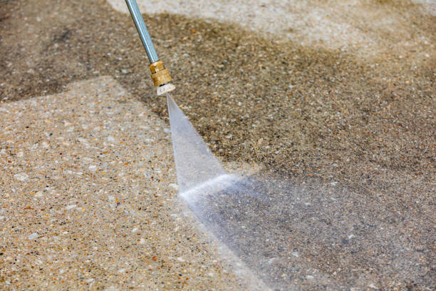 Best Driveway Cleaning and Restoration in Fairport, NY